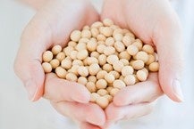 植物肉のDAIZが発芽大豆で作った大豆ミート「粒ベジ」を販売開始、丸大豆を使用した栄養価が高く美味しい植物性食品のサブ画像2