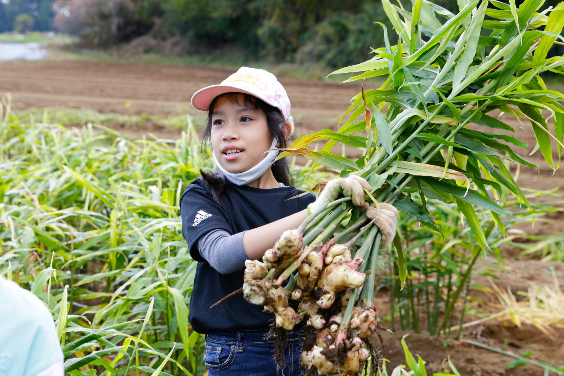 【こどもスマイリング・プロジェクト】職業体験型食育プログラム「有機農場で野菜収穫体験＆間伐体験」を実施のサブ画像3