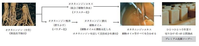 「NEMOHAMO」3 周年記念国産オタネニンジンの濃密な泡が、ハリツヤのあふれる素肌へ導く。プレミアム洗顔ソープが12 月９日（金）限定発売のサブ画像5