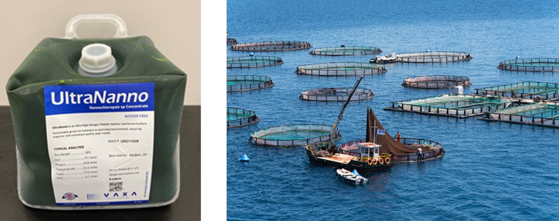 ＤＩＣ、イスラエルVaxa社の水産養殖業界向け微細藻類餌料「UltraNanno™」を国内で販売開始のサブ画像1