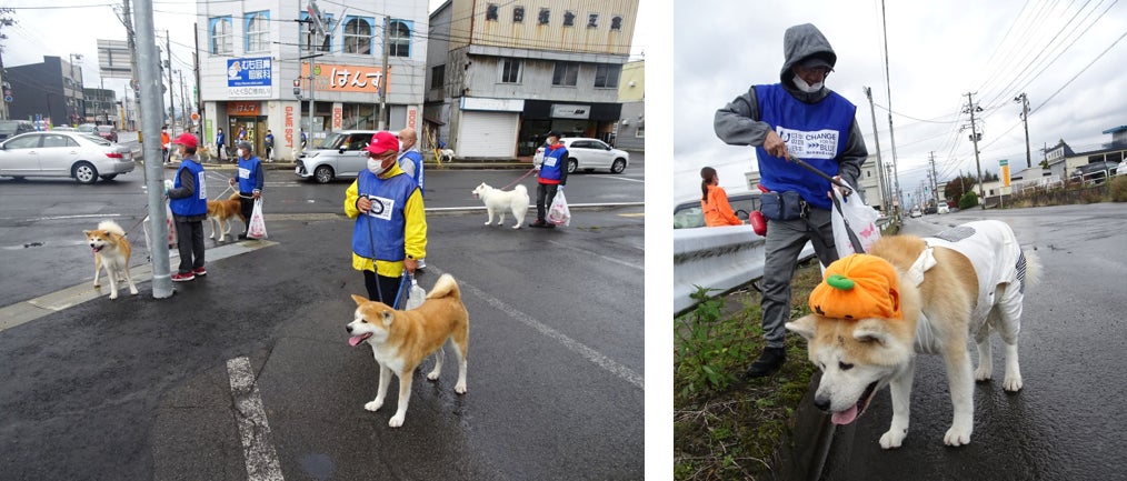 ～海ごみゼロを目指す新習慣の提案～ 犬の散歩でごみ拾いキャンペーンIN大館  秋田犬と一緒に清掃活動を実施しました！のサブ画像2
