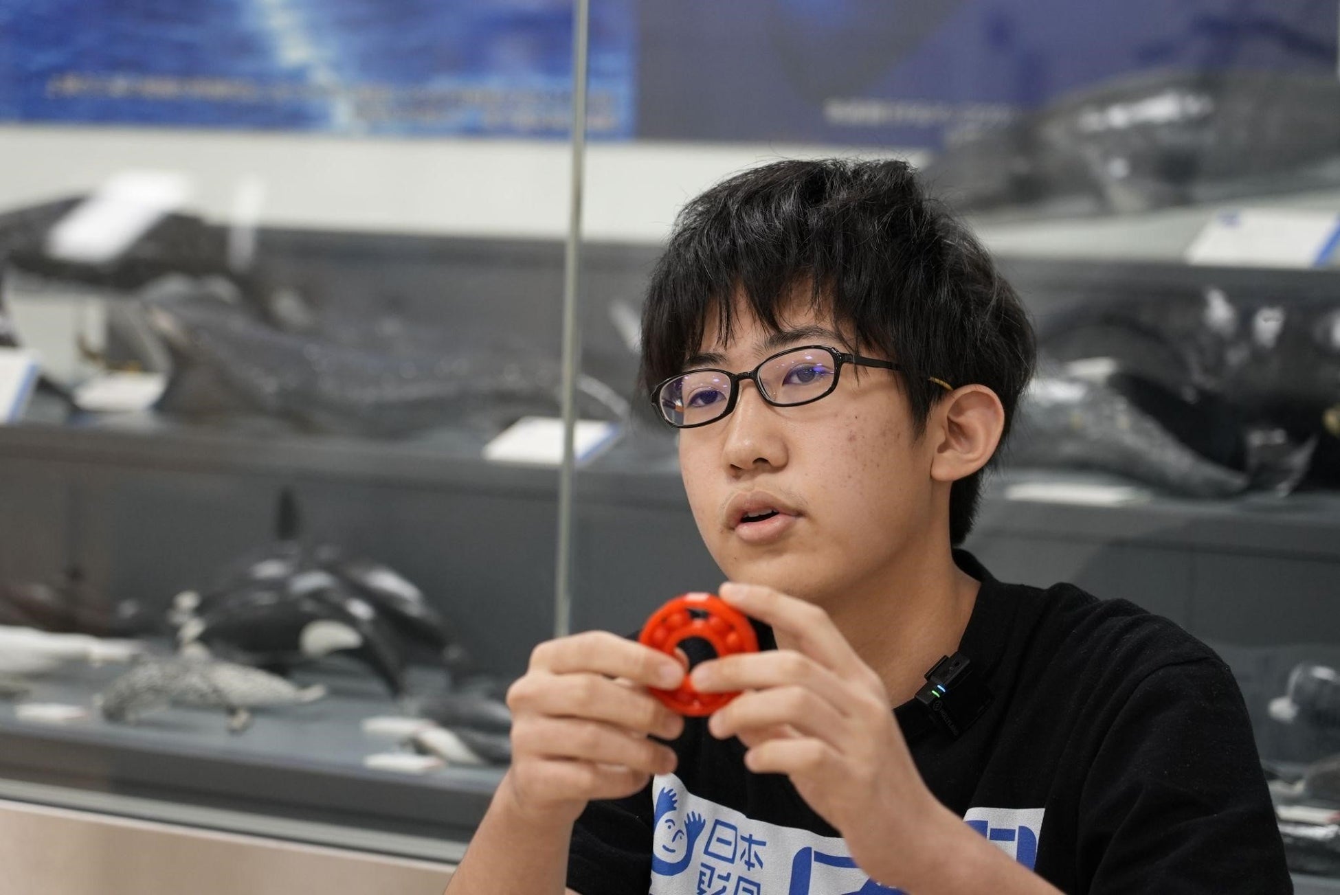 【海洋研究3Dスーパーサイエンスプロジェクト】東京海洋大学で中学生研究生が鯨の骨格標本について学びましたのサブ画像6