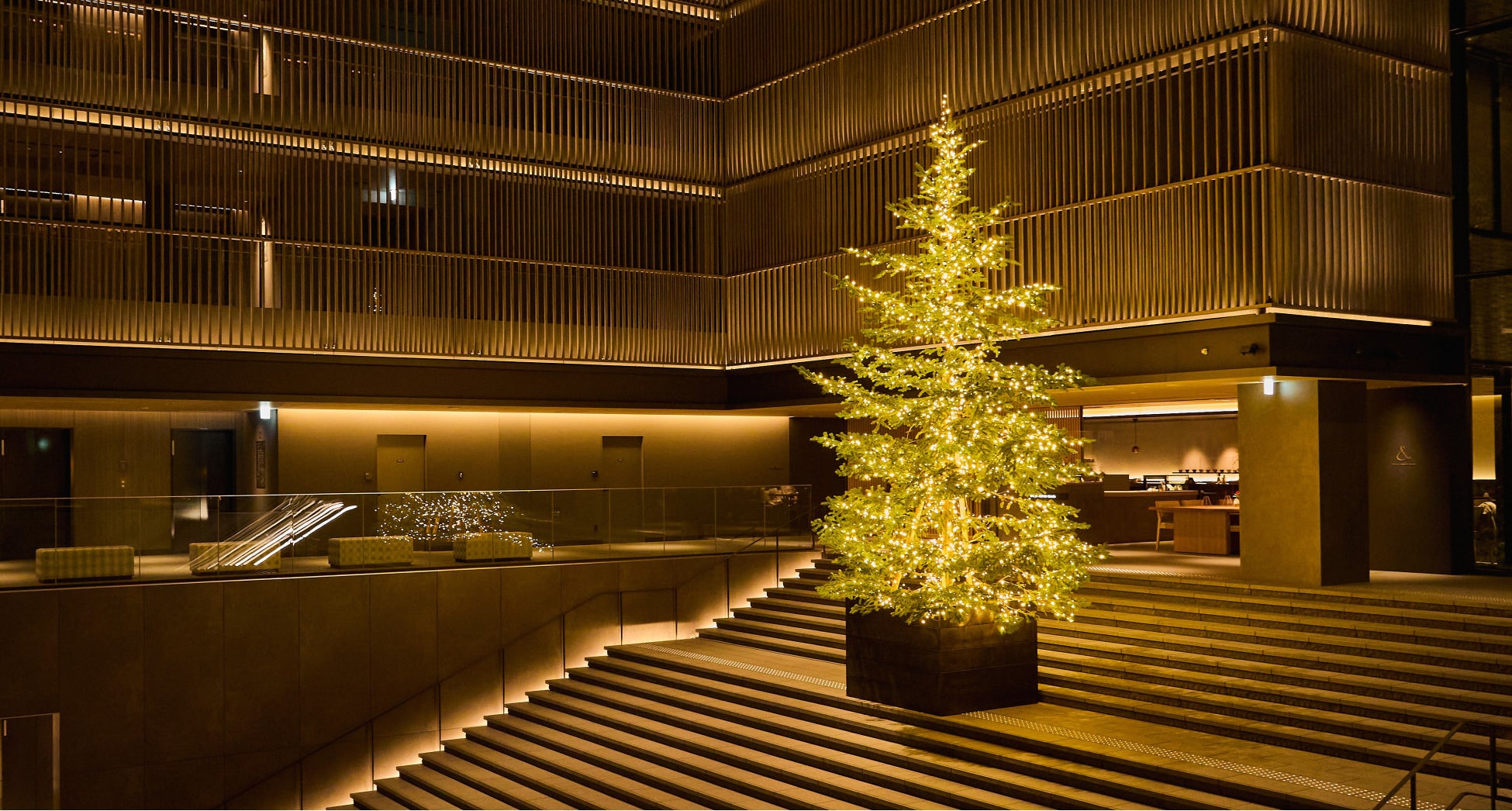 【THE THOUSAND KYOTO】吹き抜けのロビー大階段に 約7ｍの「生モミの木」クリスマスツリーが登場のサブ画像1