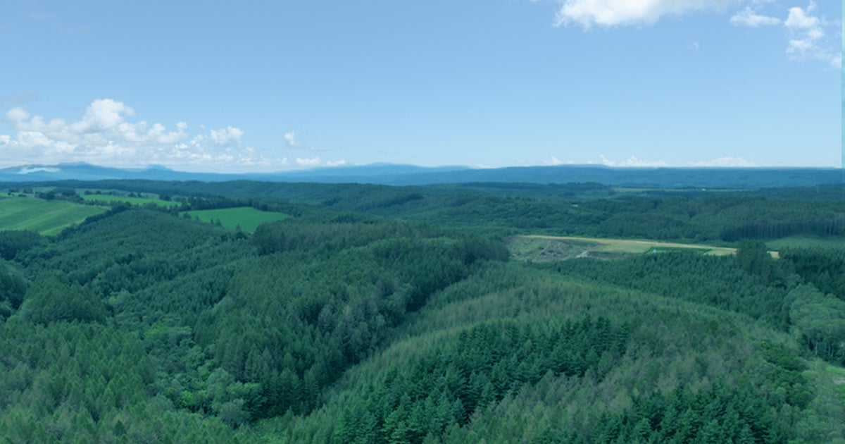 【12月11日は国際山岳デー/「BOTANISTの森」活動報告】多様性のある森づくりに向けて北海道美幌町立旭小学校での「BOTANISTの森」森林環境教育を開始のサブ画像9