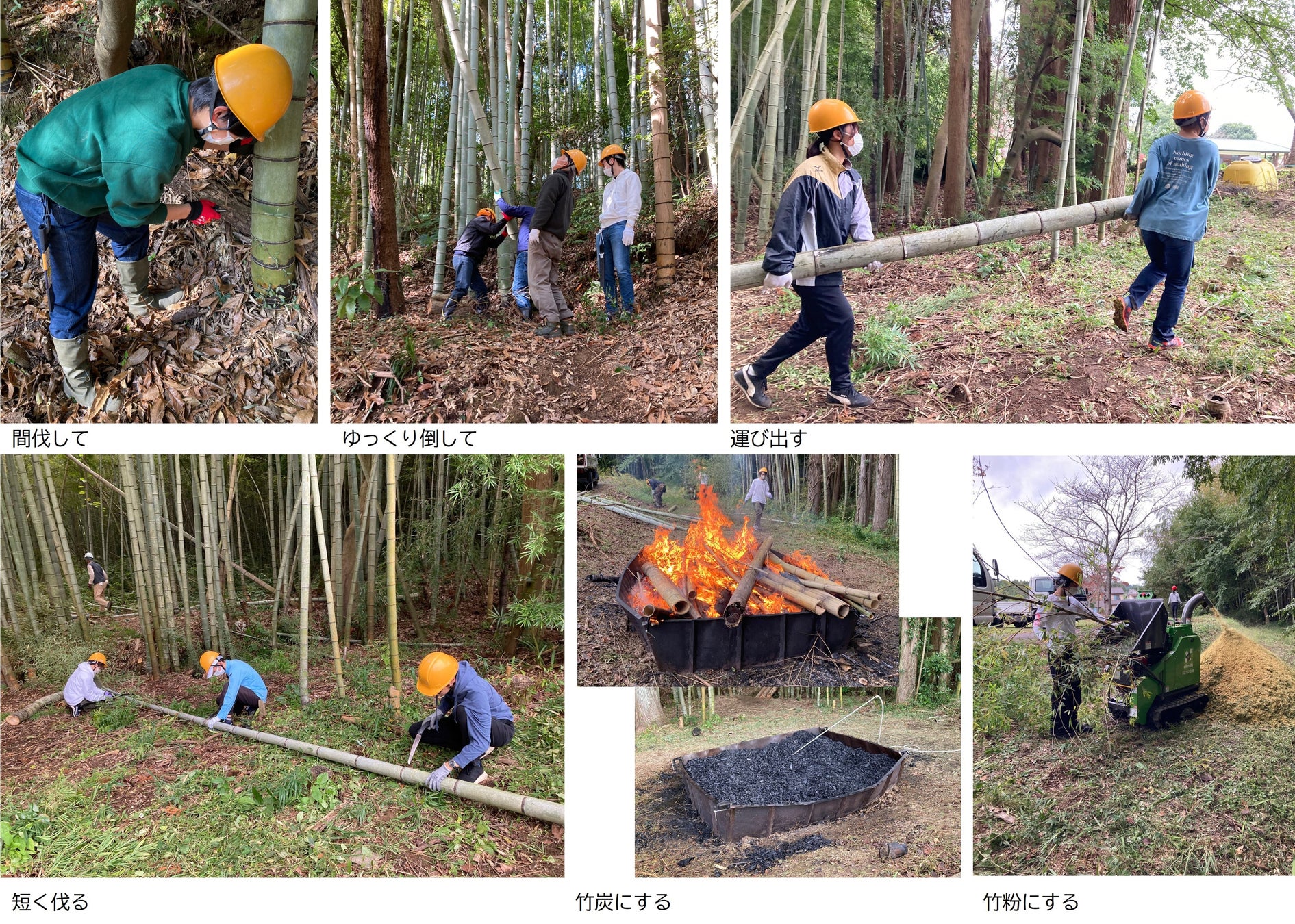 放置される竹林を活かし循環型社会を目指す　千葉大生が京葉銀行とともに竹林整備活動のサブ画像3_作業の様子
