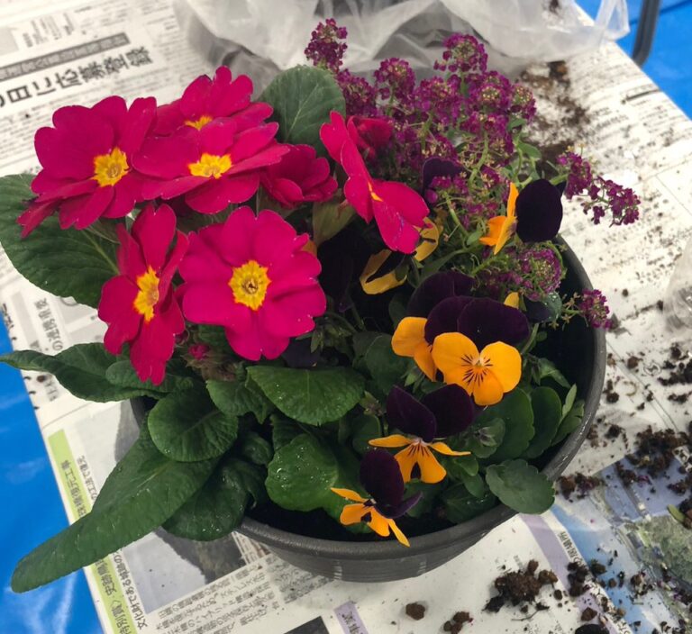 "花に親しみを"　千葉大学環境ISO学生委員会が「寄せ植えイベント」を開催のメイン画像