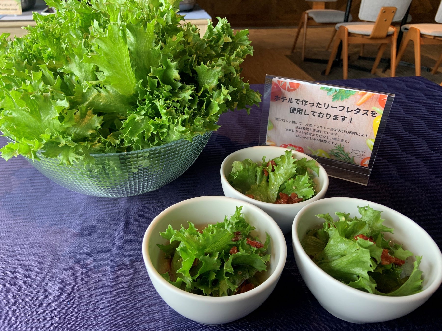 東急ホテルズ×東急バス　川崎市の小学生に環境学習「水素で学ぶSDGs」を実施のサブ画像5_収穫したレタスはホテルの朝食で提供