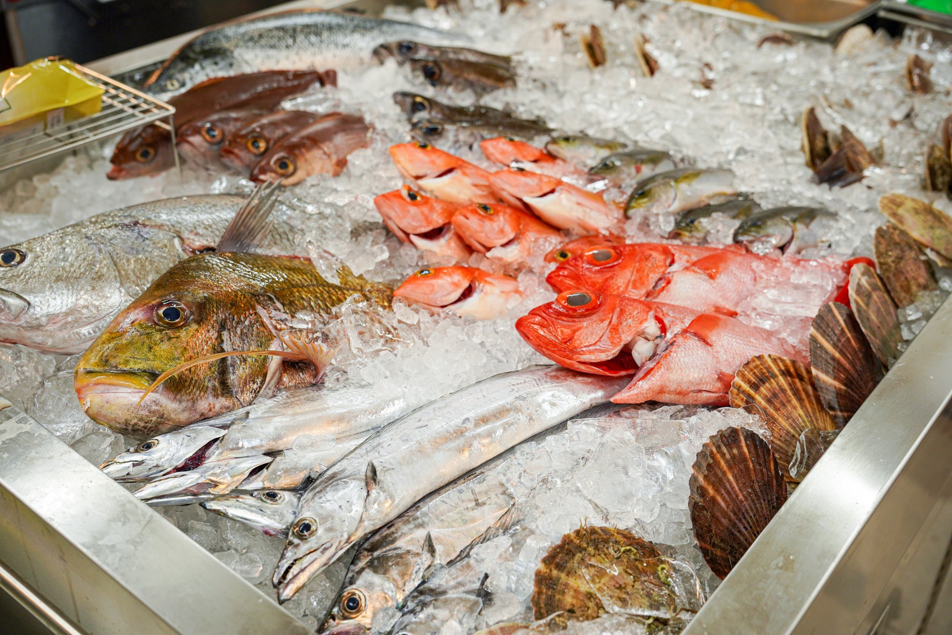 SANKO MARKETING FOODSはグループ全体で、水産庁『さかなの日』の賛同メンバーとして、魚消費の拡大に取り組んでいます。 のサブ画像2
