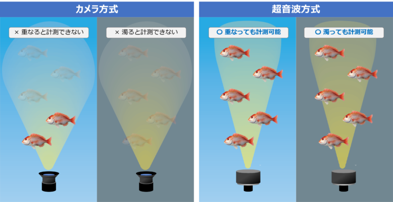 アクアフュージョンが養殖魚自動尾数カウントシステム「MagicCounter（マジックカウンター）」の全国販売を開始のメイン画像