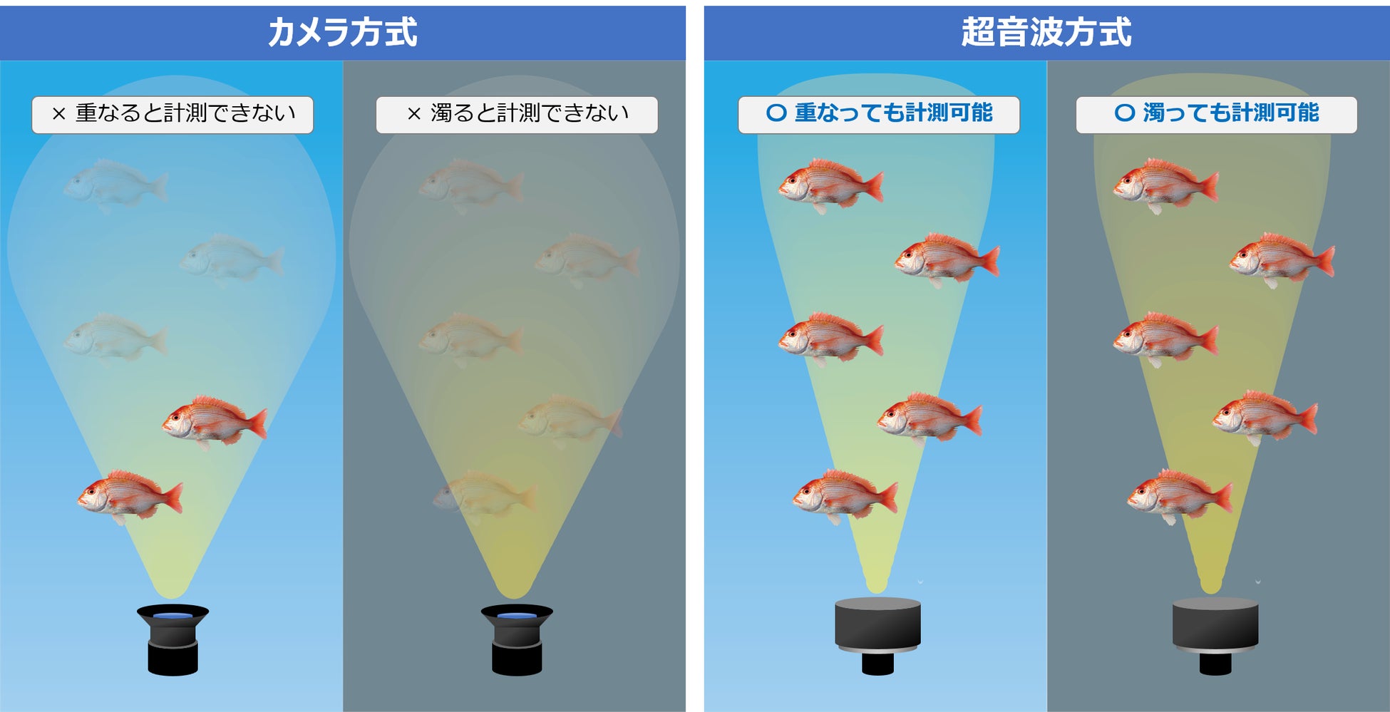 アクアフュージョンが養殖魚自動尾数カウントシステム「MagicCounter（マジックカウンター）」の全国販売を開始のサブ画像4_カメラ式と超音波式の違い