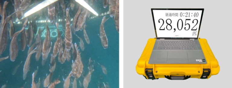 超音波式水中可視化技術を活用して養殖マダイの個体数自動計測に成功のメイン画像
