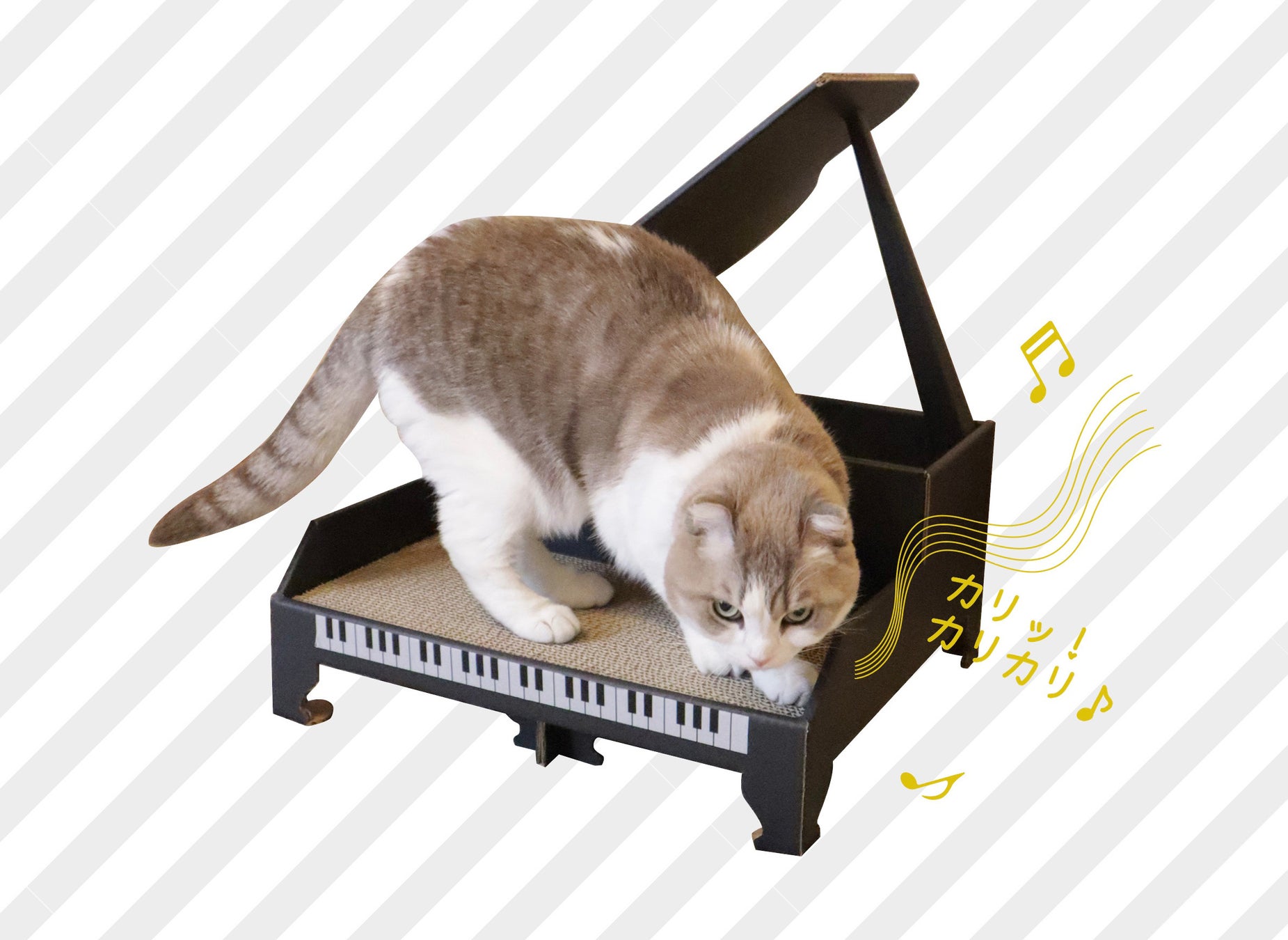 【新商品】まるで猫ちゃんのピアノ演奏会！？写真映えもバッチリなグランドピアノ型爪研ぎのサブ画像2