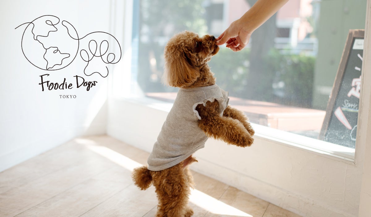 プレミアムドッグフードを展開するブランドFoodie Dogs TOKYO＿飼い主さんの洋服をワンちゃんの洋服にアップサイクルするサービス3W UPCYCLINGを12月16日より開始のサブ画像2