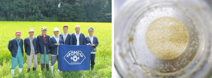 【AKOMEYA TOKYO】オーガニックのお米が原料の「岩手のお米ハンドソープ・ボディソープ」12月20日に新発売のサブ画像5