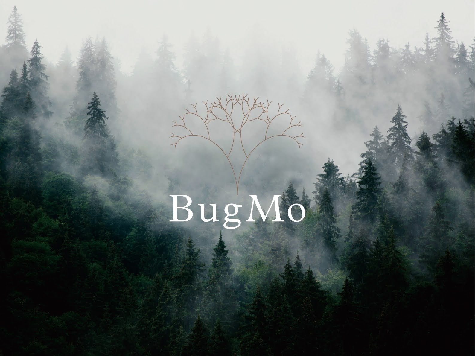 BugMo食用コオロギ「UMAぱうだー」を利用した、残渣や製造施設の「アップサイクル開発パッケージ」提供を開始のサブ画像6