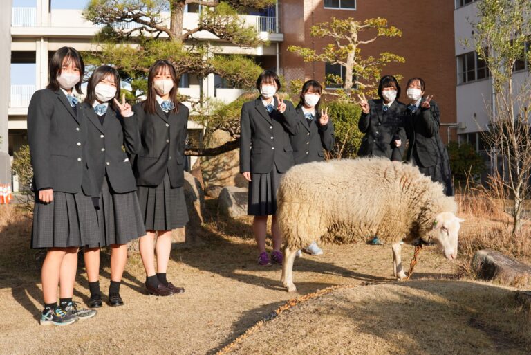 福山高校生徒が校内アニマルセラピー羊「もふお」の餌代をワークショップで稼ぐ！【グローカルワークショップ】をアンカーホテル福山で開催します。のメイン画像