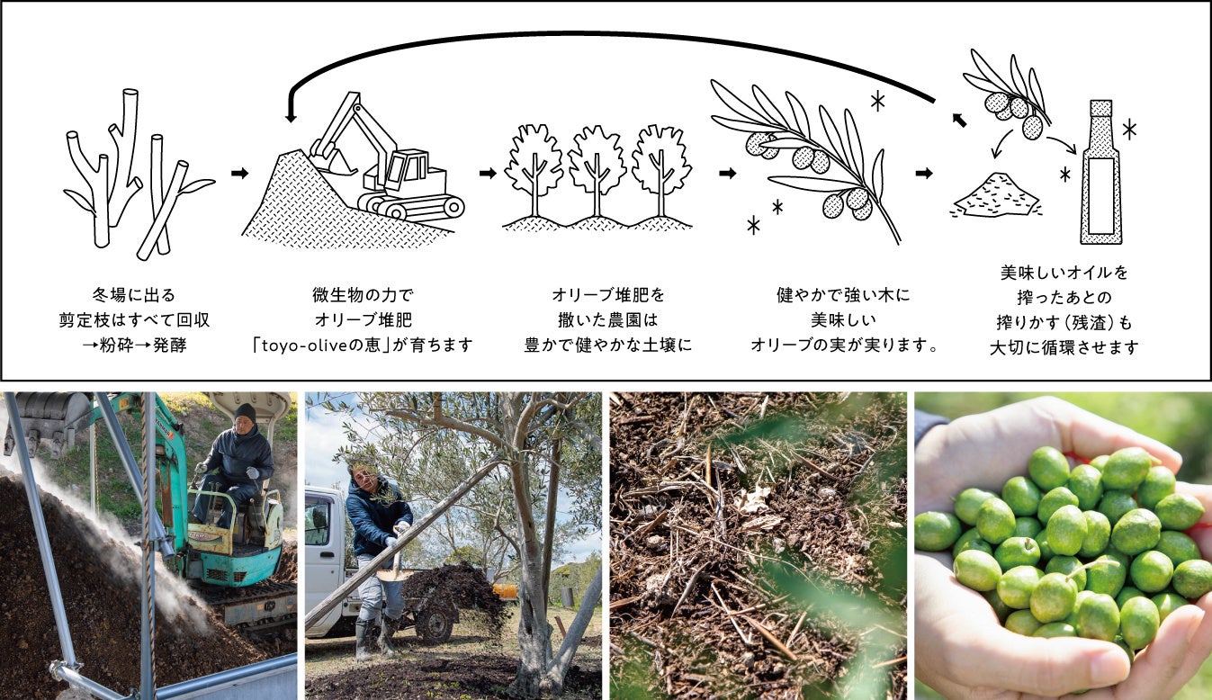 国際基準のオーガニック認証取得「小豆島産 循環型 有機栽培 エキストラバージンオリーブオイル[手摘み・ミッション種]」誕生のサブ画像4
