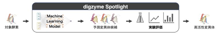バイオプロセス×AIのdigzyme、酵素機能改良サービス「digzyme Spotlight」の有償PoCを開始のメイン画像