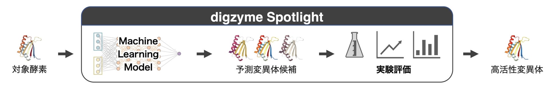 バイオプロセス×AIのdigzyme、酵素機能改良サービス「digzyme Spotlight」の有償PoCを開始のサブ画像1