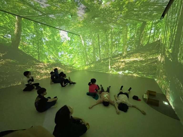 空間型VRで森林の魅力を伝えるフォレストデジタルが『WOODコレクション（モクコレ）２０２３』に出展いたします。のメイン画像