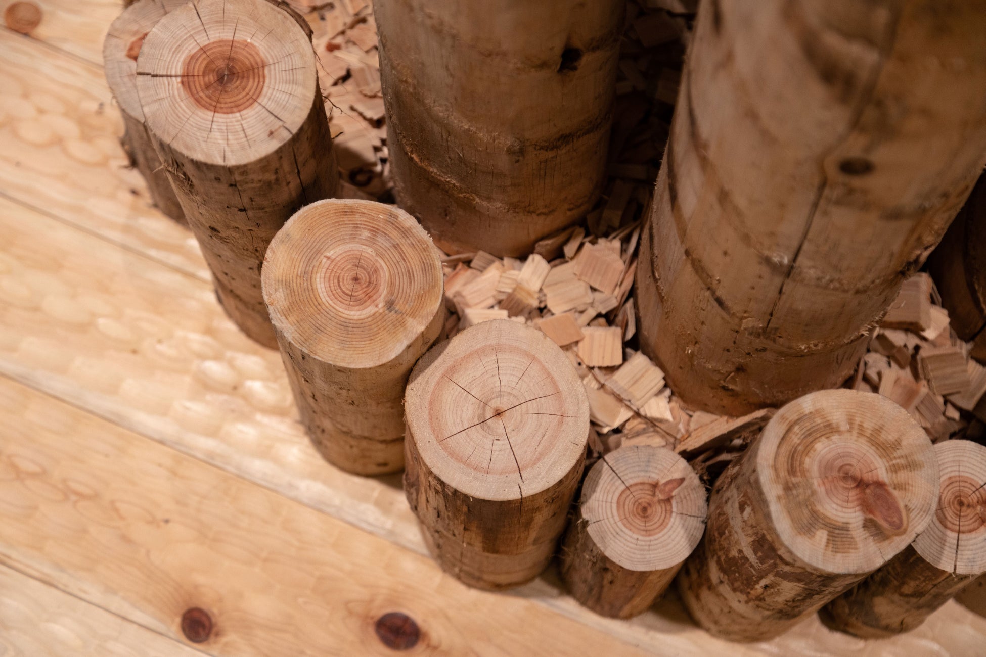 創業100年以上の木材会社が手がける“森林浴”をテーマにした酵素浴＆サウナ施設「meet tree SPA」が2023年1月12日(木)にグランドオープンのサブ画像4