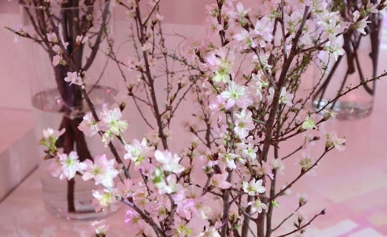 ひと足早く桜を満喫！「NAKED花みくじ®」と「桜ぜんざい」が登場のサブ画像2