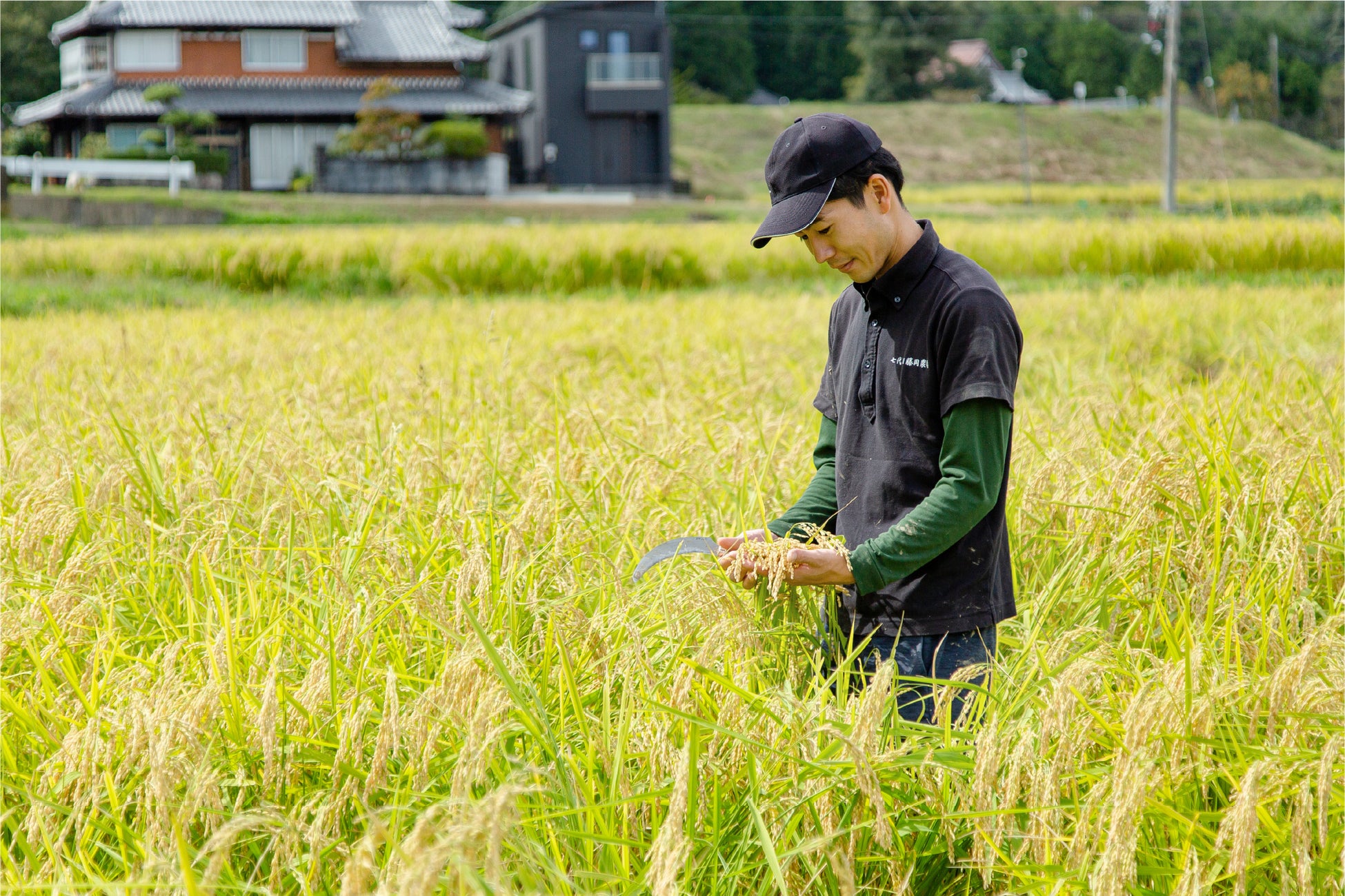 有機農業を志す生産者との二人三脚を推進する神戸のハニーマザー、2月15日（水）より「有機米粉」ミズホチカラ（ 製菓・製パン用）（転換期間中）を販売開始。のサブ画像5