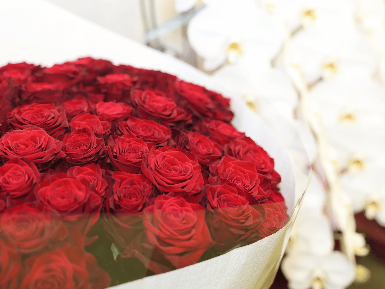 企業のお祝いシーンに薔薇を。年300万本の生産量を誇るオランダ式バラ農園がユーザーからの直接受注を開始のサブ画像2