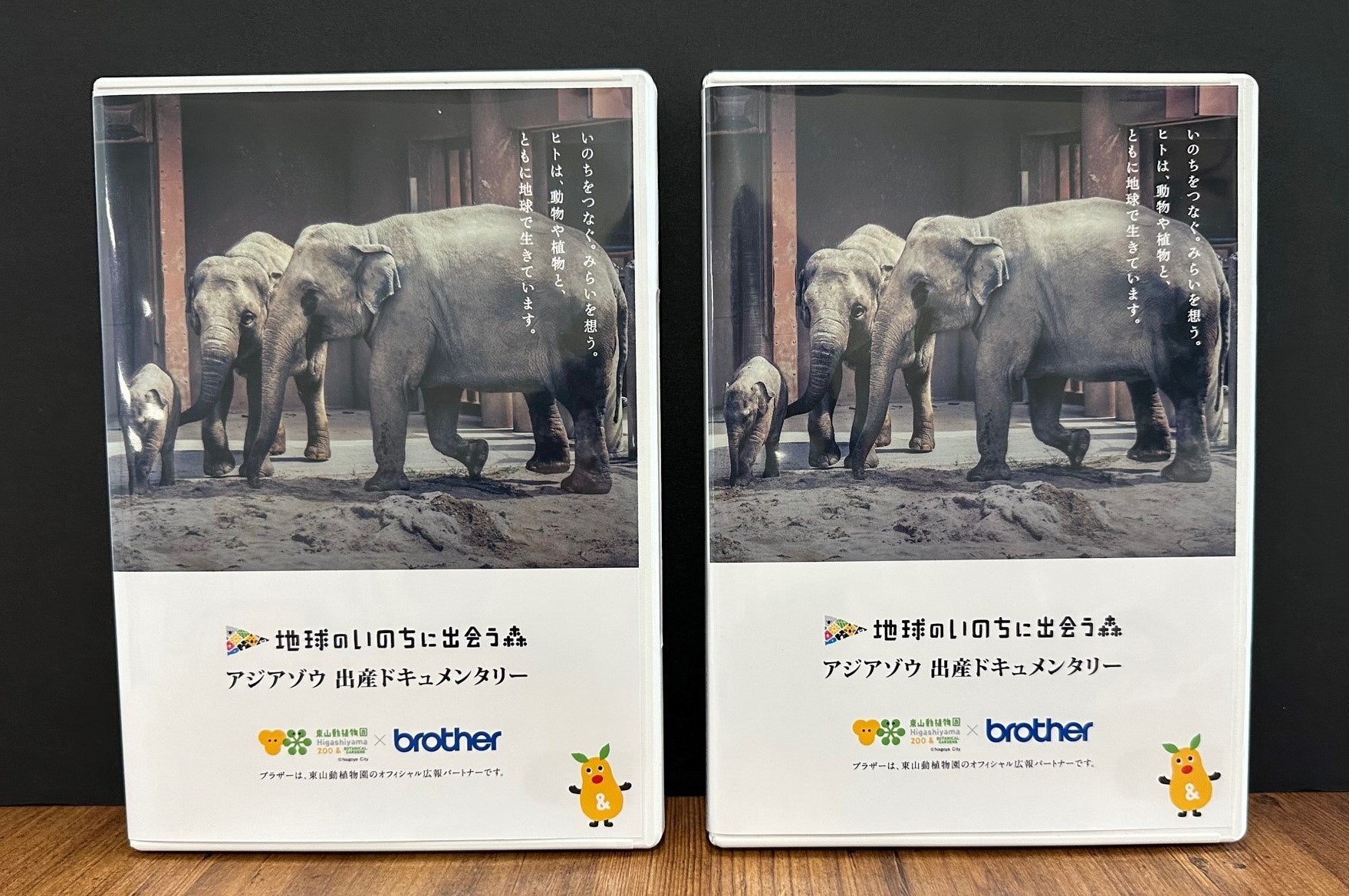 ブラザー、アジアゾウ出産のドキュメンタリー動画を名古屋市内の図書館に寄贈のサブ画像1_図書館で貸し出しが開始されているDVD（左）とBlu-ray（右）