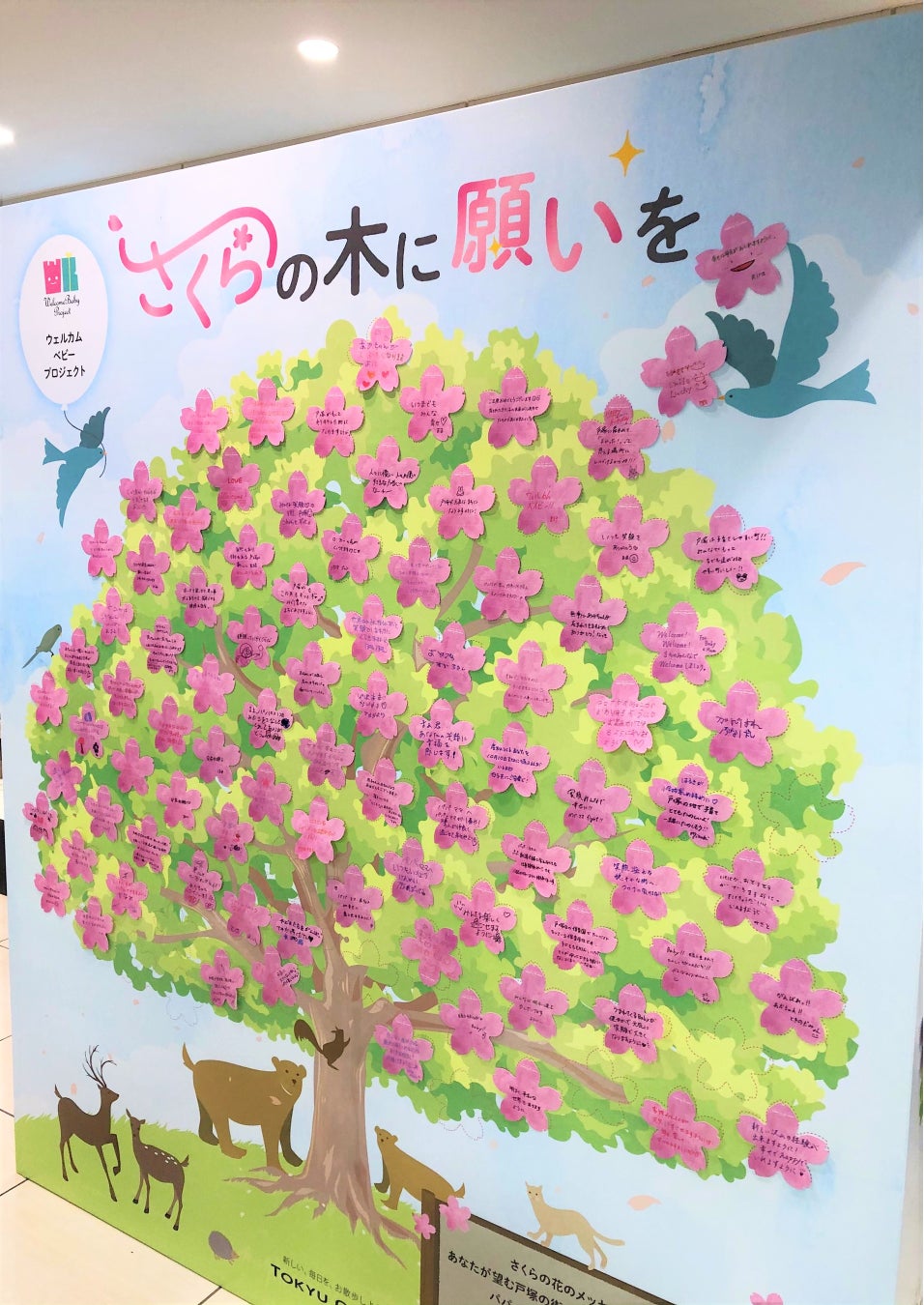 ワークショップなどを通じて、戸塚の未来を考える、行動するきっかけづくりに「TOTSUKA MIRAI WEEK」第4弾を開催のサブ画像3_「さくらの木に願いを」第2弾（2022年）の様子