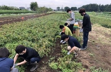 2月27日は「絆の日」！東京の生産者と料理人が “野菜” を通じてつながる “絆”。畑と作り手、お客様を料理で結ぶ「東京野菜が主役の “ベジフルコース”」～小田急ホテルセンチュリーサザンタワー～のサブ画像6_ホテルの従業員による農園でのお手伝い
