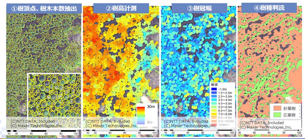 産学官連携による衛星データを活用した森林経営支援とカーボンクレジット発行事業の技術実証を開始のサブ画像1_図1：衛星画像を活用した森林解析例