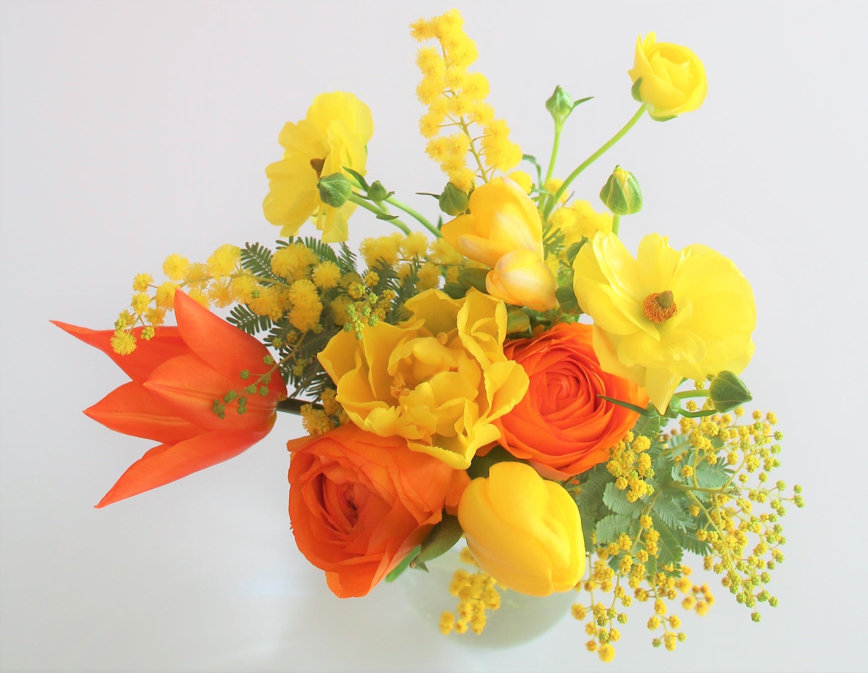 3月8日「国際女性デー」を“花”で応援　「幸せの黄色い花」を通じて花業界も啓発に貢献　HAPPY WOMAN®と花の国日本協議会が連携　女性の幸せを願うスペシャルWEEKに！のサブ画像4_春が旬のビタミンカラーの花々「#幸せの黄色い花」