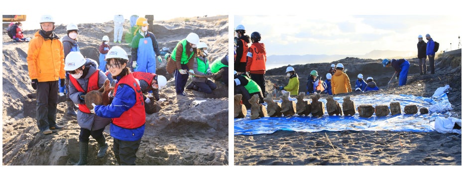中学生たちがコククジラの骨格を発掘、3Dデータ化する海洋研究のプロジェクトを実施しました！のサブ画像3
