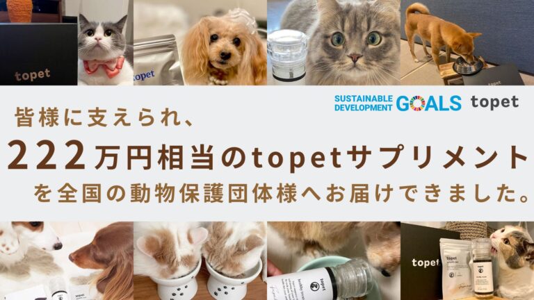 2月22日は猫の日！動物保護団体へ222万円相当のtopetサプリメントを寄付のメイン画像