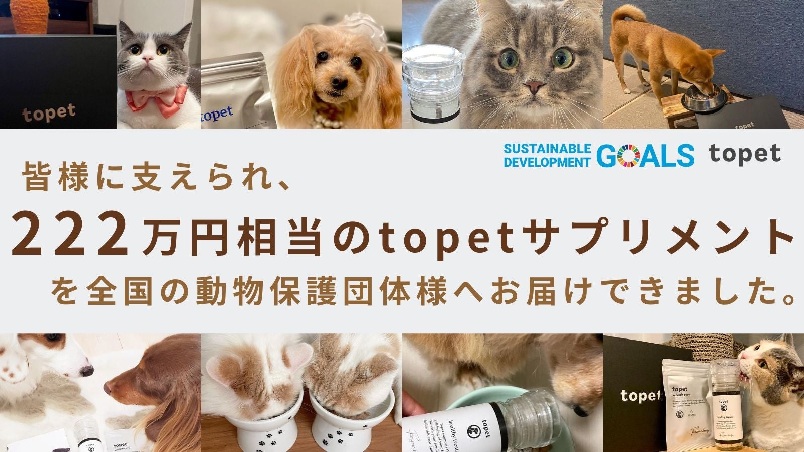 2月22日は猫の日！動物保護団体へ222万円相当のtopetサプリメントを寄付のサブ画像1