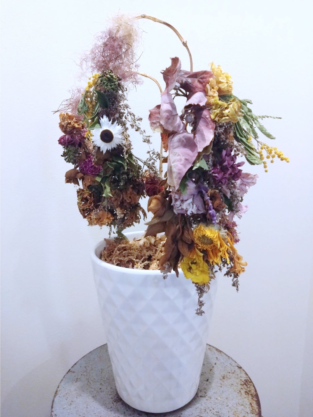 廃棄花材をアップサイクルしたメンテナンスフリーのドライ植栽鉢“蒼枯鉢(そうこばち)”をJAPAN SHOP 2023にて展示いたします。のサブ画像4_胡蝶蘭アップサイクル