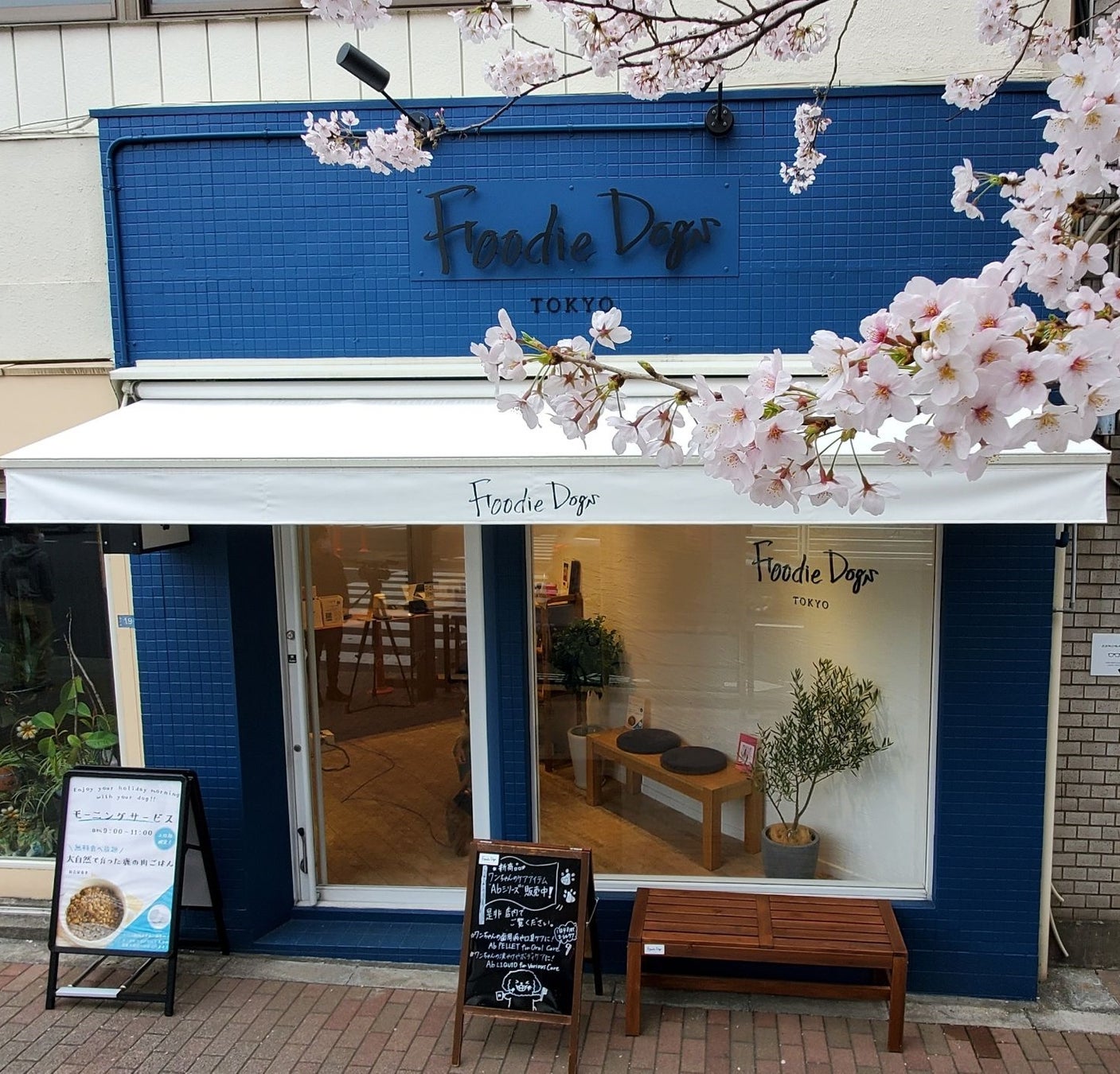 プレミアムドッグフードを展開するブランドFoodie Dogs TOKYO＿お刺身を作る過程で出る、切れ端をアップサイクルしたペットのおやつ「海のおやつシリーズ」の販売を開始のサブ画像11