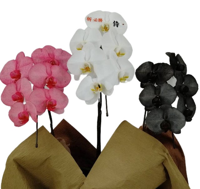 新年度のフラワーギフトに！カスタマイズできる侍スピリットの胡蝶蘭のサブ画像2