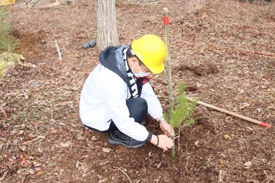 ＜地球の笑顔のために＞環境保全を目的としたCSR・SDGs活動 「フォンテーヌ緑の森キャンペーン」静岡県立森林公園に100本のアカマツを植樹のサブ画像1_植樹の様子