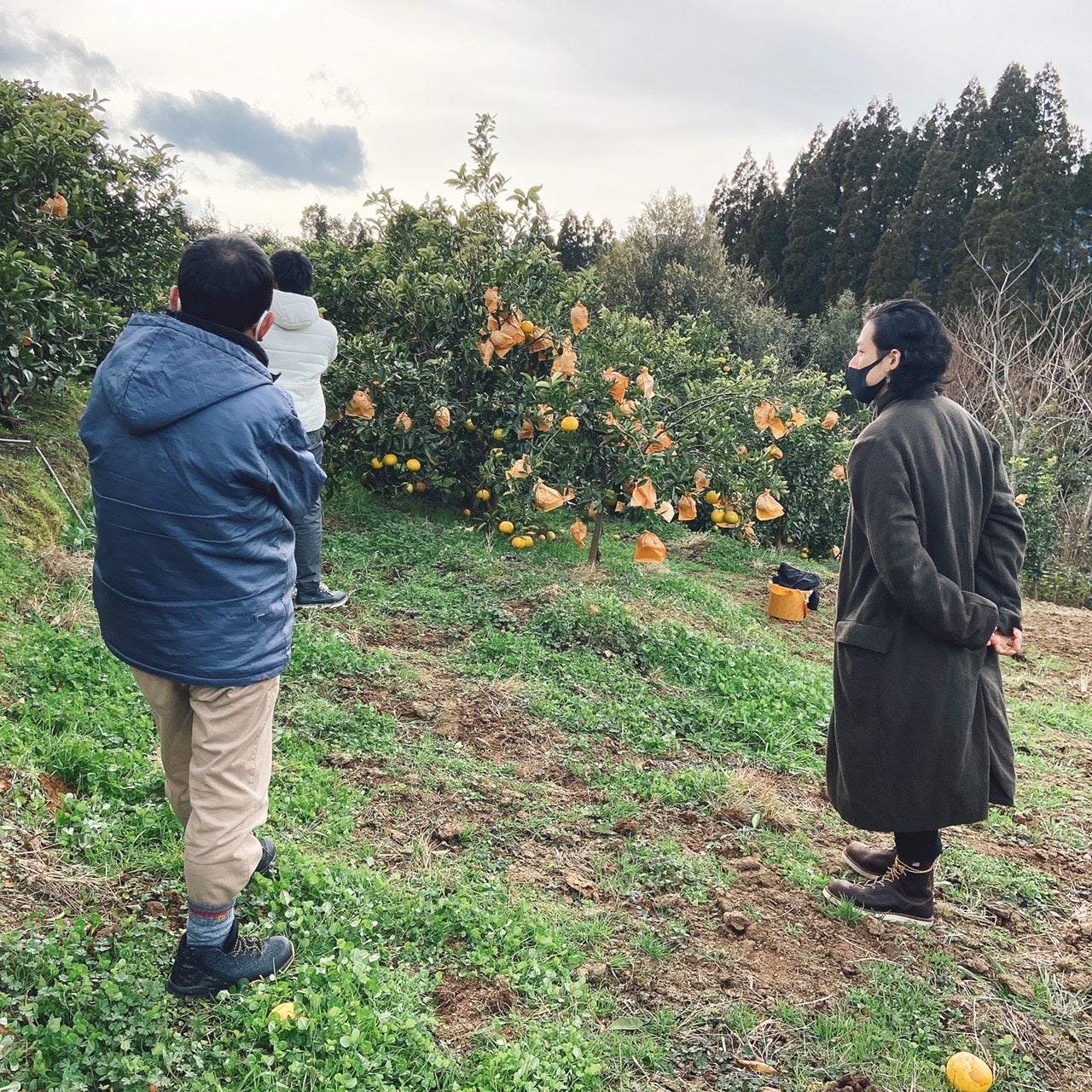 ミナイマサシが＜サスティナブル×伝統×アート＞を融合させた新ブランド「MINAI」を発表。のサブ画像12_フルーツ農家訪問の様子