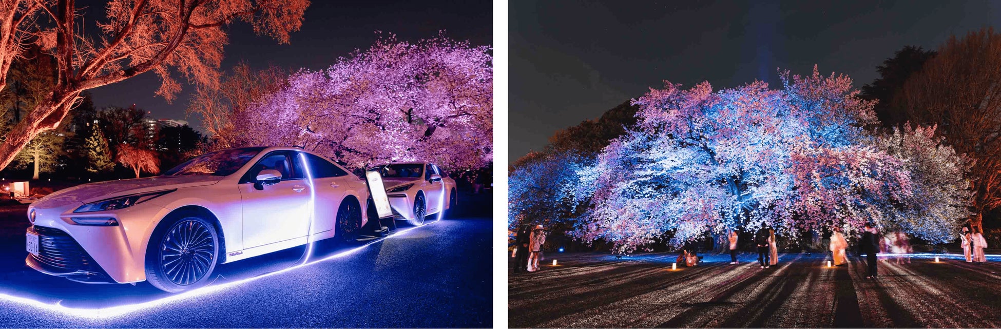 トヨタの給電車が新宿御苑の夜桜を彩るイベントに協力「桜×動く電源」でお花見体験をアップデートのサブ画像1