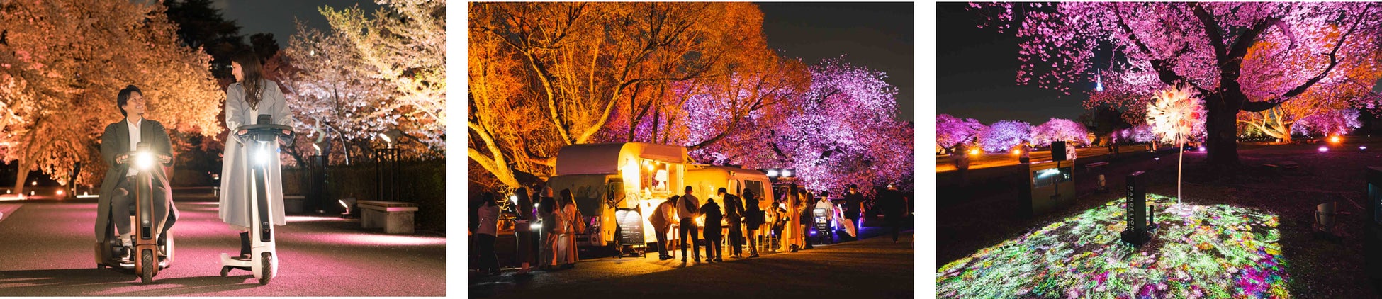 トヨタの給電車が新宿御苑の夜桜を彩るイベントに協力「桜×動く電源」でお花見体験をアップデートのサブ画像2