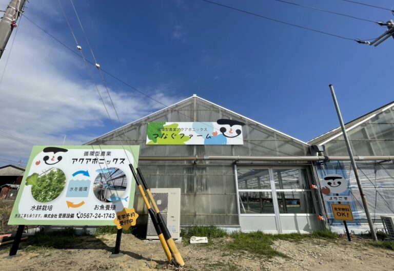 地域の食と雇用を支える未来型農業施設日本最大級の生産株数を誇るアクアポニックス農園「つなぐファーム」を愛西市にオープンのメイン画像