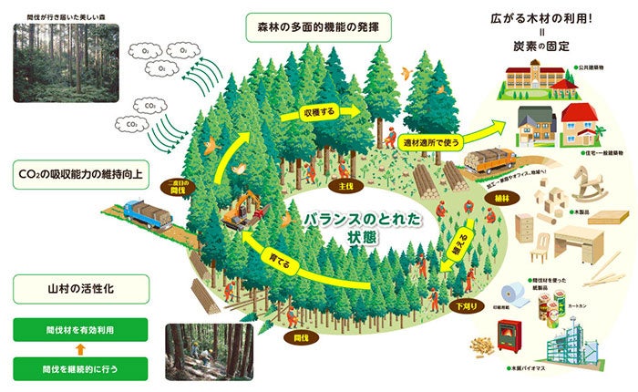 森林経営活動プロジェクト、J-クレジット制度の認証を取得のサブ画像1
