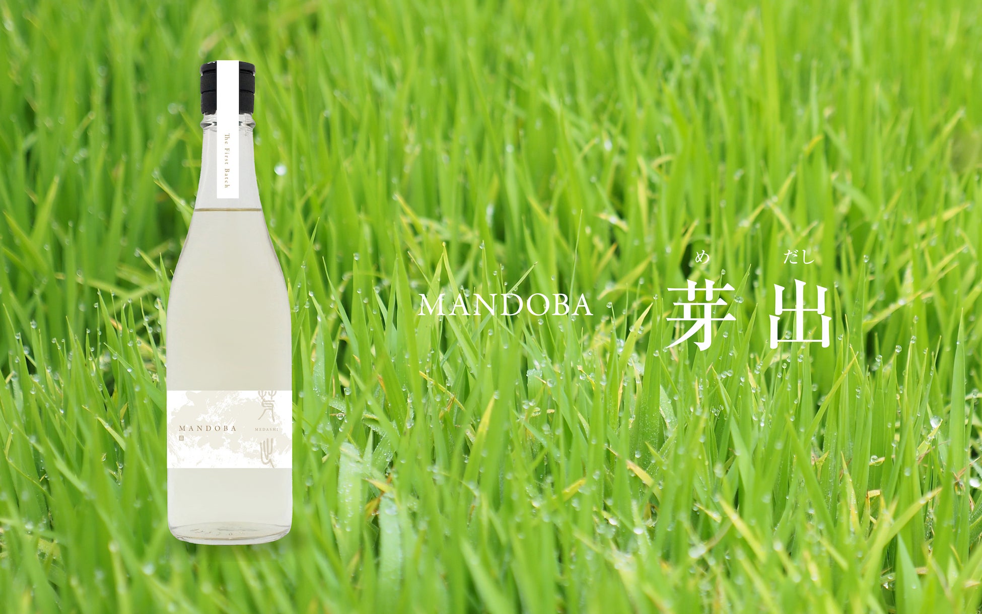 里山を未来につなぐ、新潟の新しい日本酒「MANDOBA」  クラウドファンディングで先行販売開始のサブ画像11
