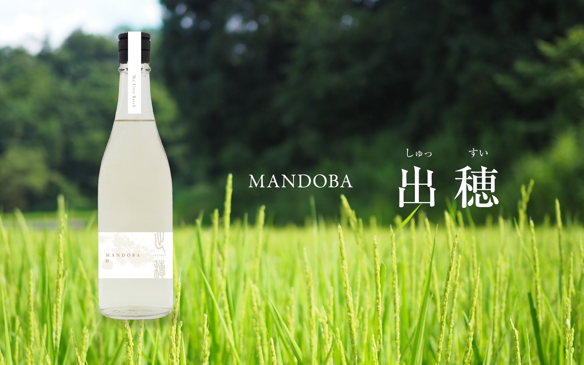 里山を未来につなぐ、新潟の新しい日本酒「MANDOBA」  クラウドファンディングで先行販売開始のサブ画像13