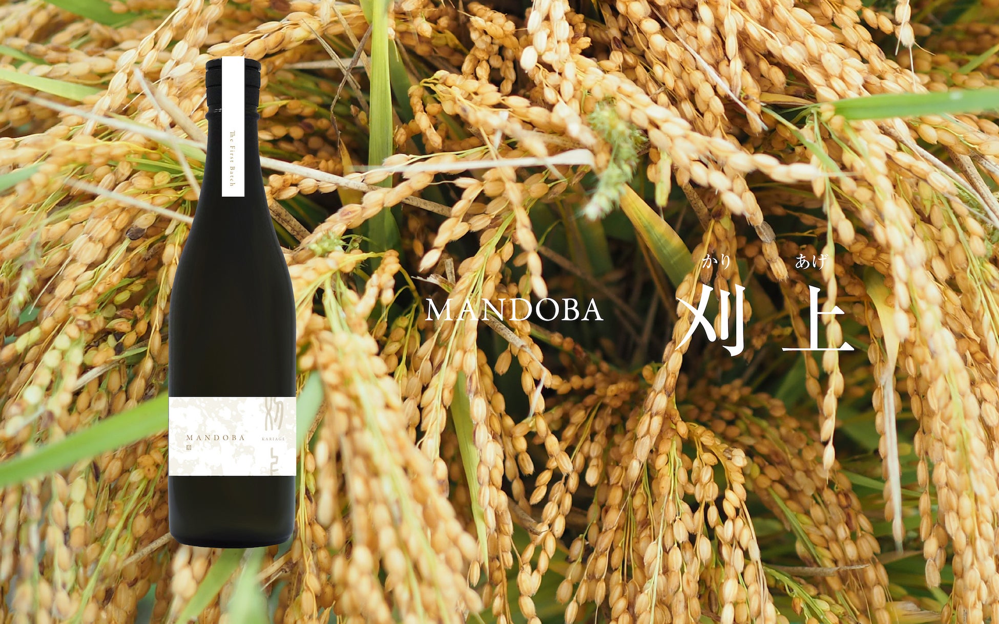 里山を未来につなぐ、新潟の新しい日本酒「MANDOBA」  クラウドファンディングで先行販売開始のサブ画像14
