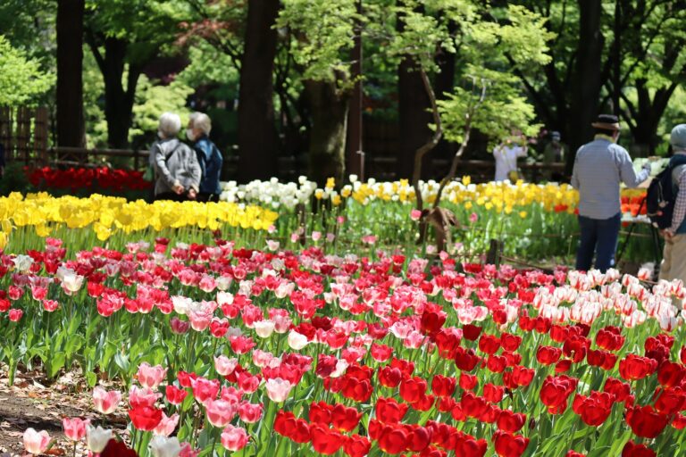 横浜に春の訪れを告げるフラワーリレーイベント「ガーデンネックレス横浜2023」3月25日（土）から開催のメイン画像