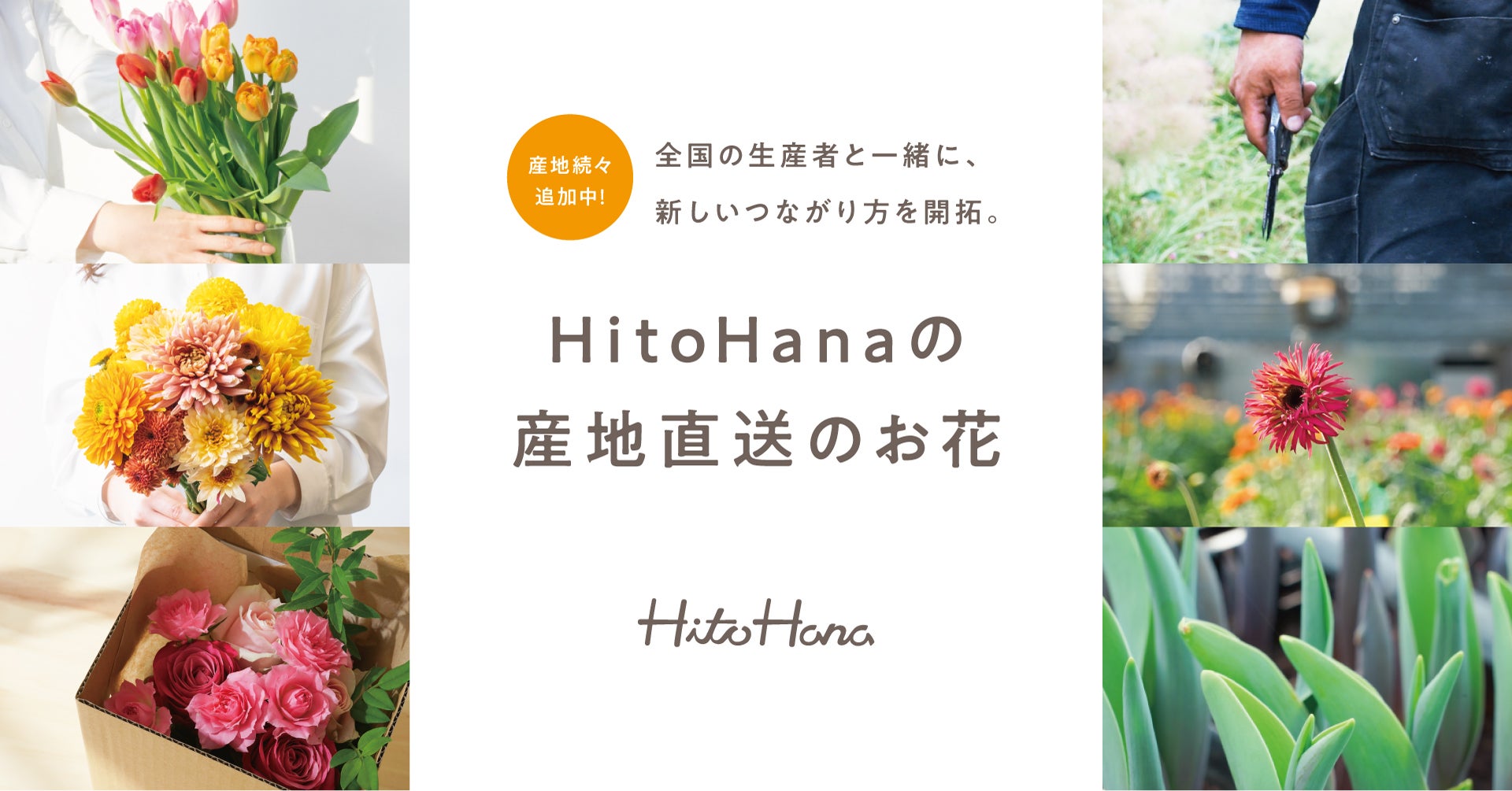 フラワーとグリーンの通販サイト「HitoHana（ひとはな）」が切り花の産地直送事業を拡大中。全国の産地と提携し、現在10拠点から季節の花をお届け（予定含む）。今後も続々と提携産地を拡大。のサブ画像1_HitoHana 産地直送のお花